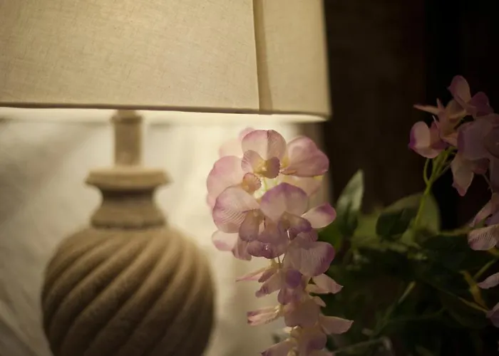 Couette-café Les De Amelie