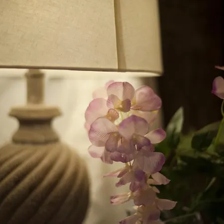 فندق مبيت وإفطار Les De Amelie